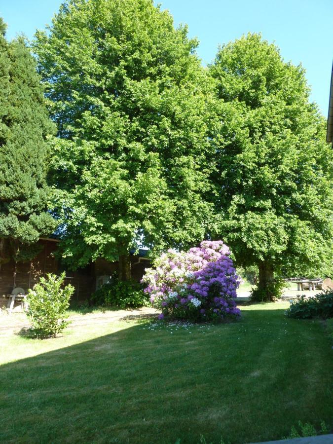'Chez Lulu' - Gite Cocon Avec Bain Nordique Ardenne Nassogne Luaran gambar